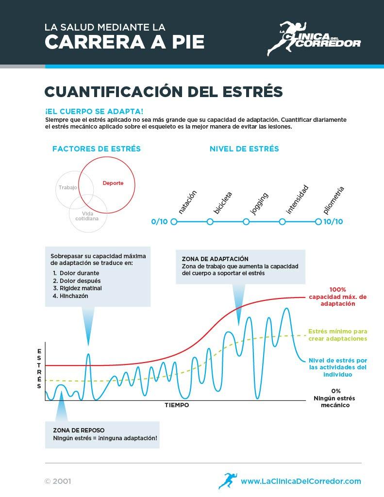 estrés mecànic